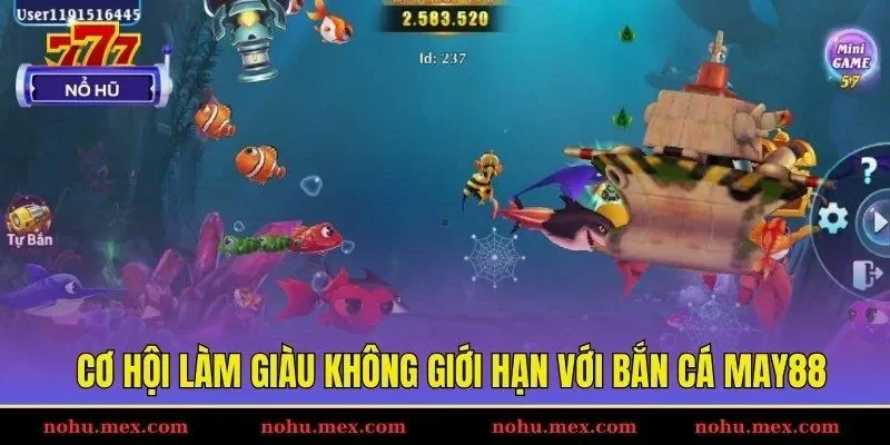 Cơ hội làm giàu không giới hạn với bắn cá May88
