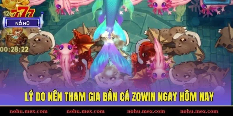 Lý do nên tham gia bắn cá ZOWIN ngay hôm nay