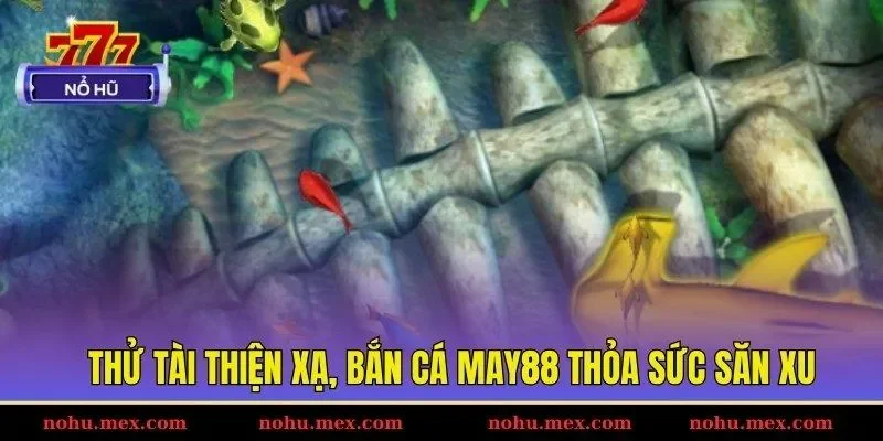 Thử tài thiện xạ, bắn cá May88 thỏa sức săn xu